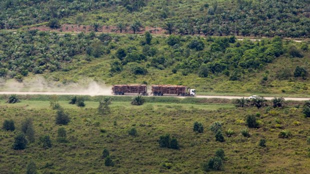 An aerial view of a truck carrying tree logs in APRIL's concession Riau province.