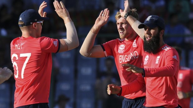 In hot water: England's David Willey, centre, celebrates with teammates after claiming a wicket.