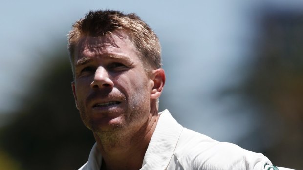 Australian batsman David Warner. 