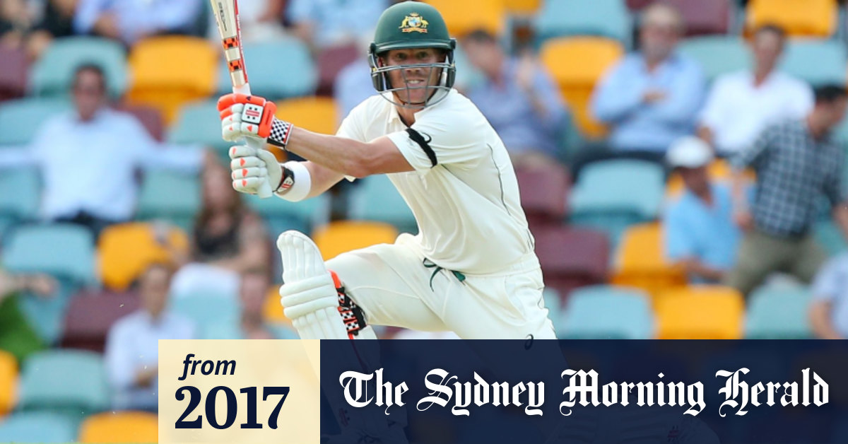 The sport i like most cricket essay picture