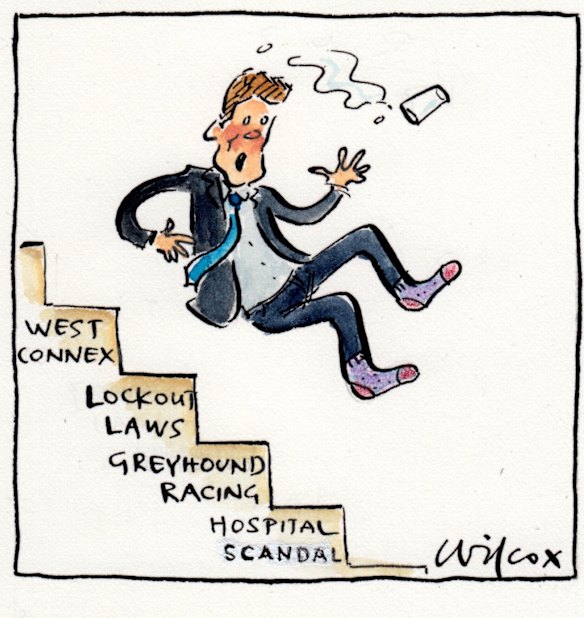 Illustration: Cathy Wilcox