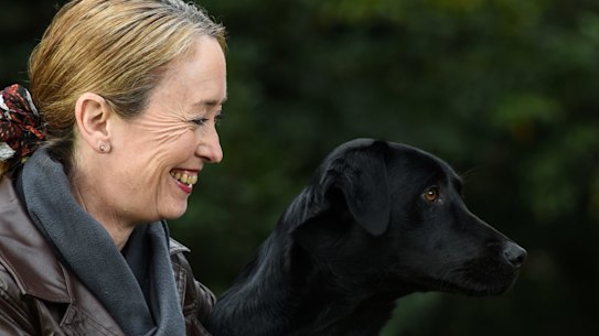 Court therapy dogs: Lucy the labrador changing the lives of victims of ...