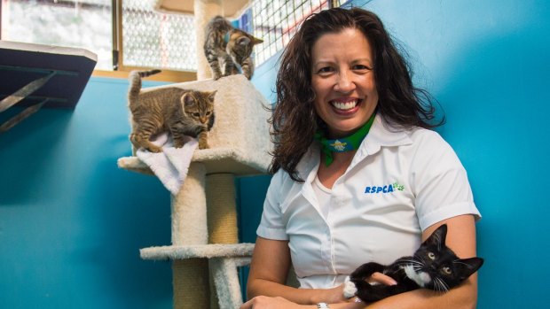RSPCA CEO Tammy Ven Dange urges pet owners to desex their cats. 