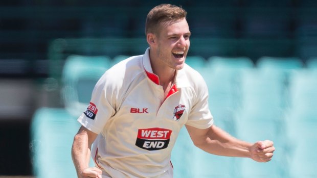 Redbacks quick Nick Winter finished runner-up in the Sheffield Shield player of the year.