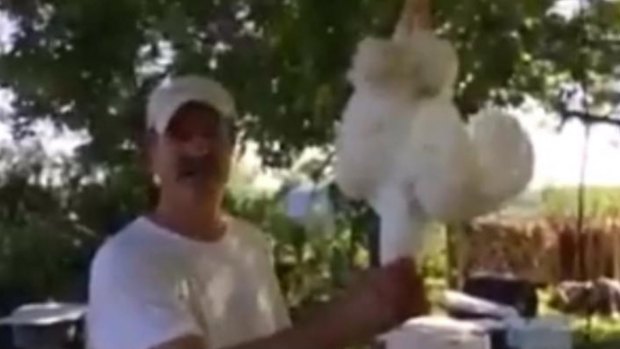 US politician Mike Moon sparked controversy after he filmed himself slaughtering a chicken this week.