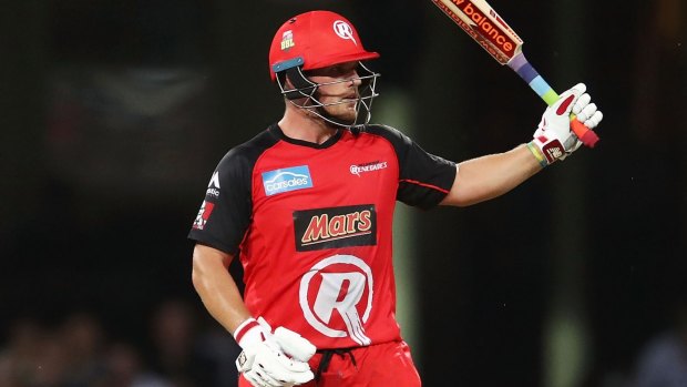 Renegades captain Aaron Finch of the Renegades celebrates his half-century during the Big Bash League match against Sydney Sixers on Monday night. 