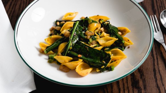 Chicken conchiglie pasta with cavolo nero, aleppo pepper and preserved lemon. 