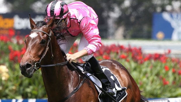 High praise: Voilier wins at Rosehill on debut on Saturday.