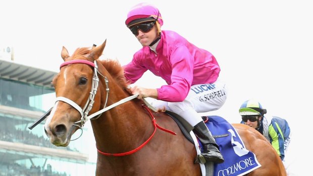 Traveller:  Japonisme's surprise win in The Coolmore Stud Stakes could mean a trip to Royal Ascot.