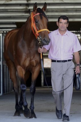 Gratz Vella with American Time, who he believes should win Canberra's horse of the year.