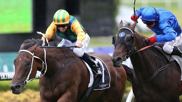 Gold Coast-bound: Ball of Muscle (left) will chase success in the Victory Stakes on Saturday.