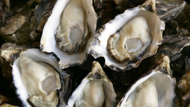 What makes an oyster's heart tick?