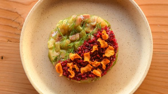 Kingfish crudo with cucumber and beetroot.