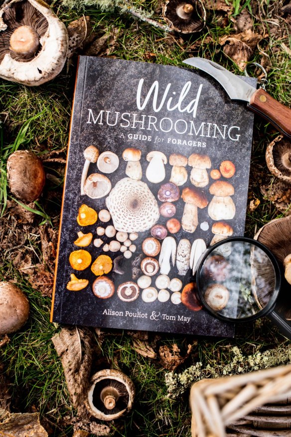 Pouliot's new book, Wild Mushrooming.