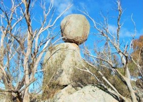 A balancing rock near Glen Innes photographed in the 1950s.