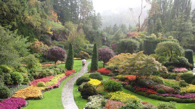  These 20 hectares of manicured gardens have become one of Vancouver Island's most popular attractions. Whether you visit in spring, when 30,000 bulbs burst into glorious bloom, or in autumn, when the trees blaze with autumn colours, you will be enchanted by the garden's remarkable beauty. The gardens, which are over 100 years old, were created by Jenny Butchart, who rehabilitated the quarry which had supplied her husband's cement plant. The Sunken Garden was merely her first garden; she later added others, including the Italian Garden, on the spot where her tennis court once was.