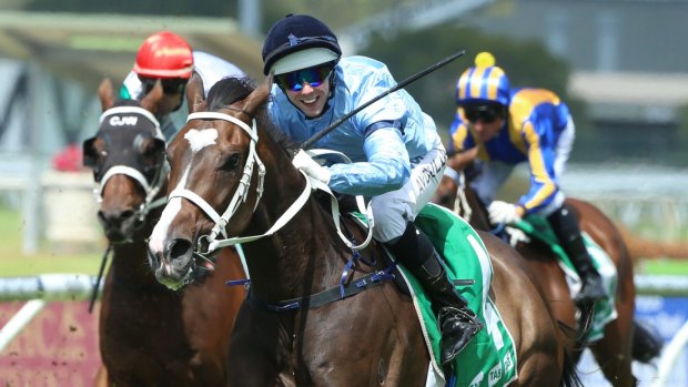 Cup dreaming: Harry Herbert is hoping Libran can add the Sydney Cup trophy to Highclere Thoroughbred's trophy cabinet.
