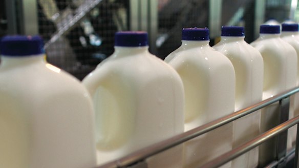 Dairy farmers are under pressure and think a levy could help.