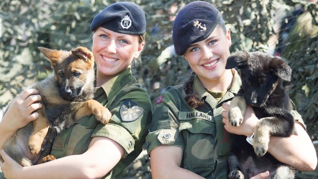 Two members of the Norwegian Armed Forces with puppies.