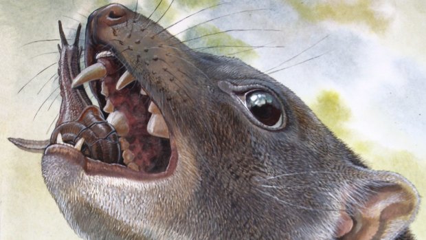 An artist's impression of a Malleodectid crushing a snail in its teeth.