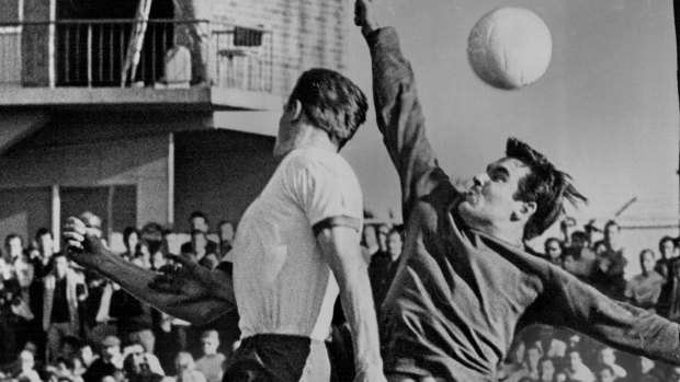 Sydney-Prague goal keeper Gary King, playing in the State Ampol Cup Final against South Melbourne Hellas in 1969. Soccer in the 1960s and '70s was dominated by ethnic clubs, which  reflected multiculturalism in a nation that was still mainly white, Anglo-Australian and xenophobic. 