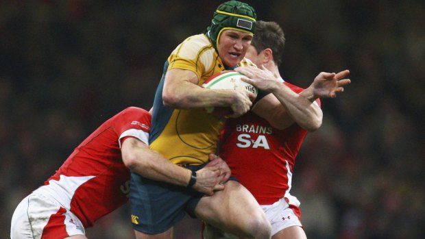 Wallaby wranglers: Matt Giteau is tackled by the Welsh defence in 2008, the last time Australia lost to Wales