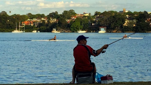 A man throws his fishing line into the water early in the morning along the Bay Run in Lilyfield before the temperatures rise today in Sydney. 13th December,2016. Photo: Kate Geraghty