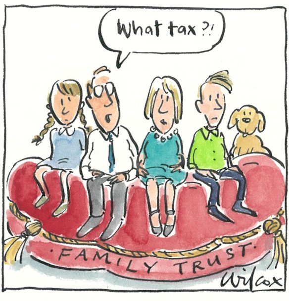 Illustration: Cathy Wilcox