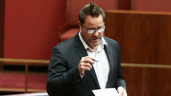 Greens senator Peter Whish-Wilson.