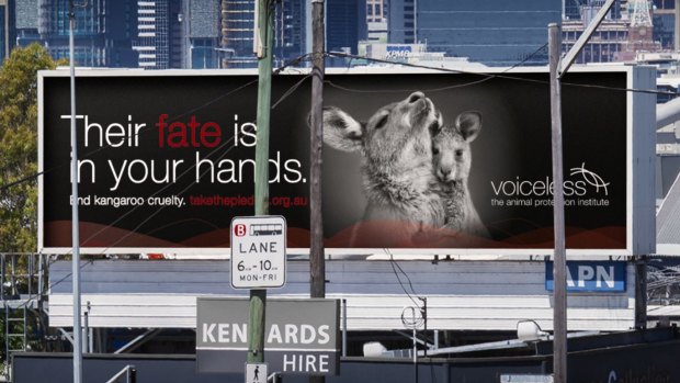 One of the Voiceless billboards in Sydney, challenging Australians to consider the fate of kangaroos.