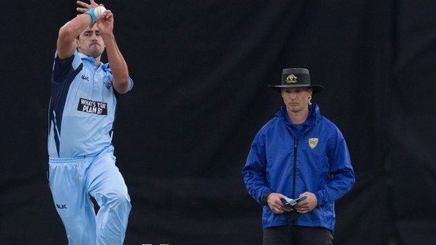 Mitchell Starc took three wickets for NSW in their controversial loss against Victoria.