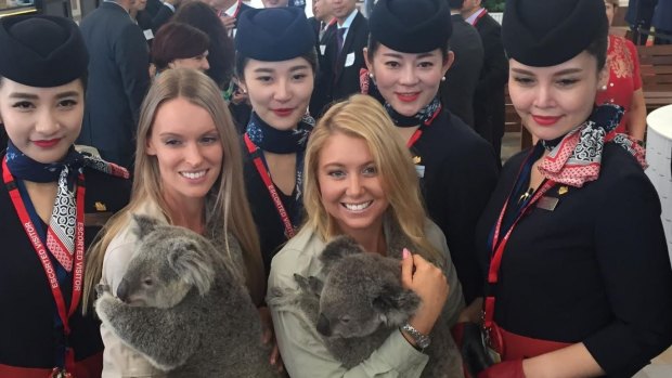 China East Airlines is beginning daily flights from Brisbane to to Shanghai.