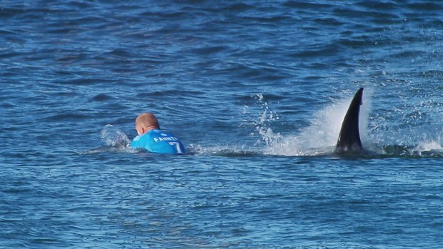 Terrifying: Mick Fanning's unforgettable encounter in South Africa.