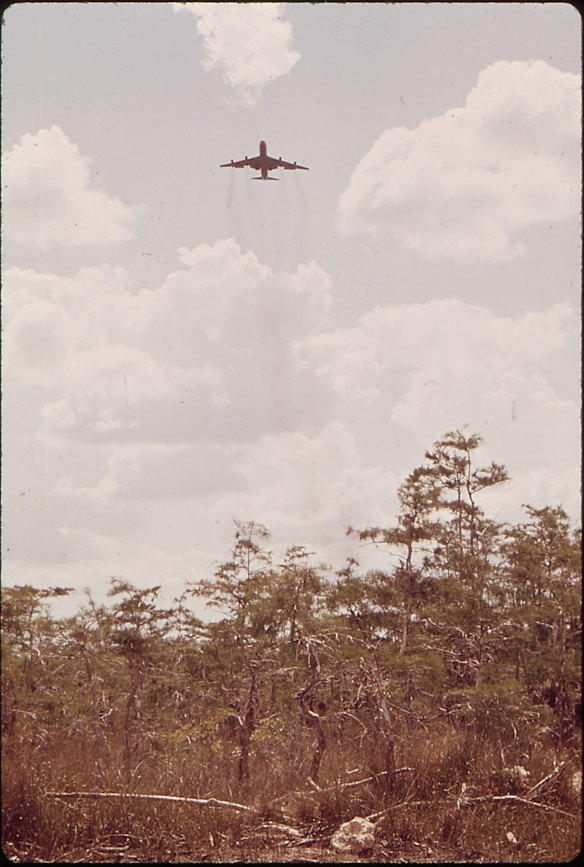 A plane takes off from Everglades Jetport in July 1972.