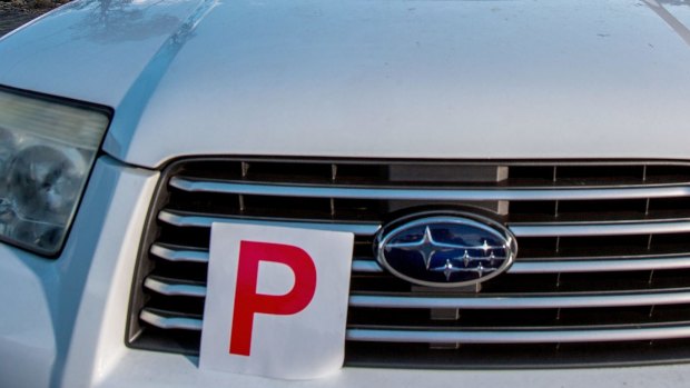 The ACT government plans to review P-plate restrictions soon.