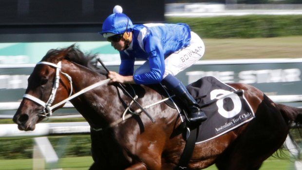 Doncaster bound: Winx is a likely starter in the Randwick classic.