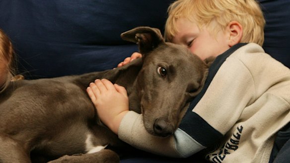 Dogs and children can be the best of friends, but they should be supervised when together, experts say.