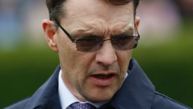 Magic number: Aidan O'Brien has equalled Bobby Frankel's world record of 25 group 1 winners in a season.