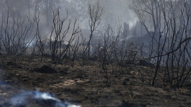 The fires burnt more than 3500 hectares and destroyed at least eight homes in February.