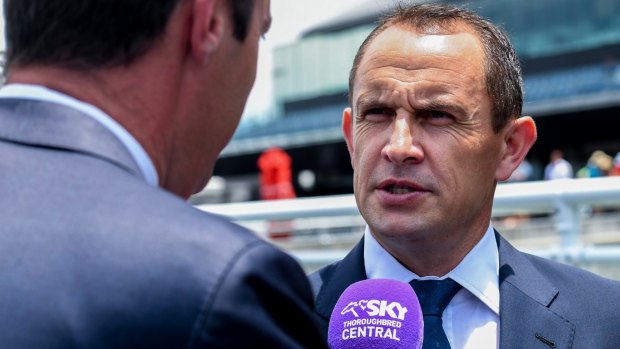 Honour: Chris Waller will be inducted into the New Zealand Racing Hall of Fame next month.