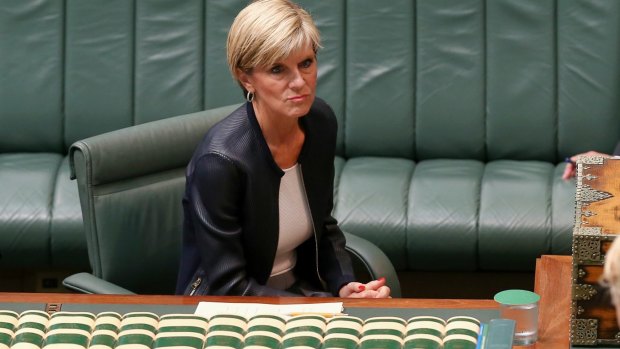 Julie Bishop has been running a campaign to save the lives of the Bali nine pair.