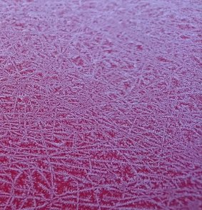 One Canberran was taken with the frost on his car Saturday morning.