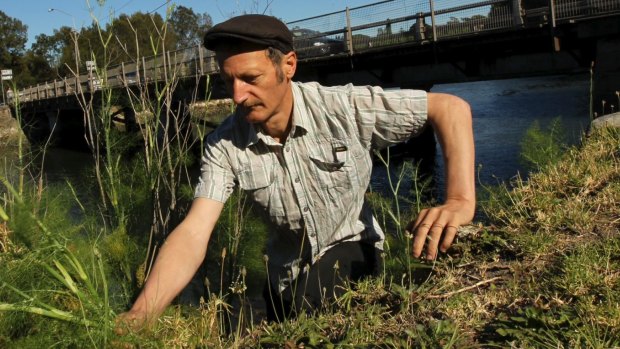 Diego Bonetto leads inner urban tours to forage for tasty weeds.