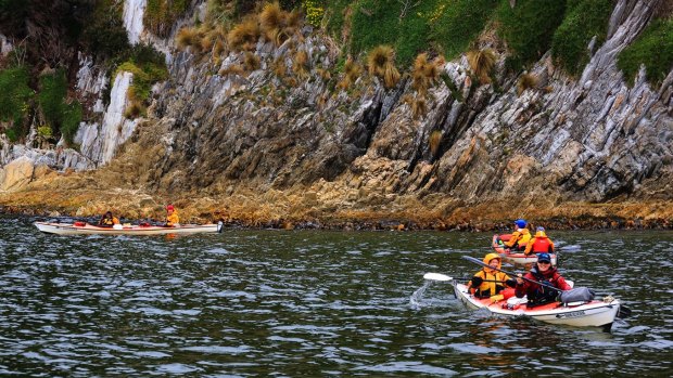 Guests explore Port Davey and Bathurst Harbour in kayaks.