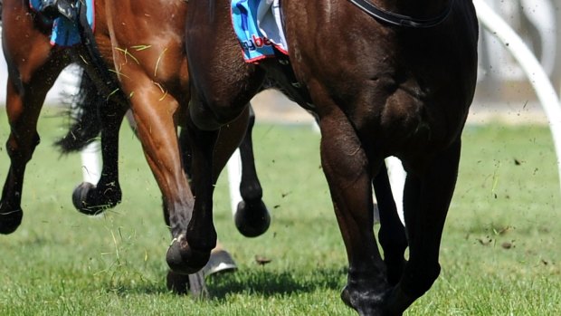 Tabcorp queries the funding of Victorian racing. 