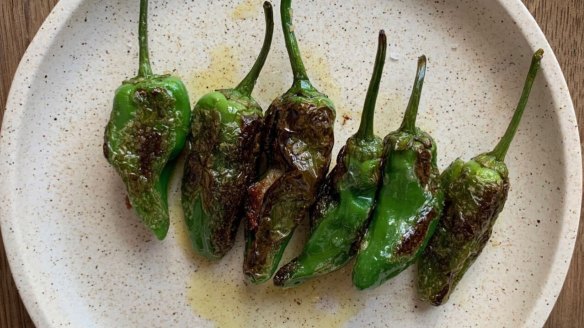 Grilled padron peppers.