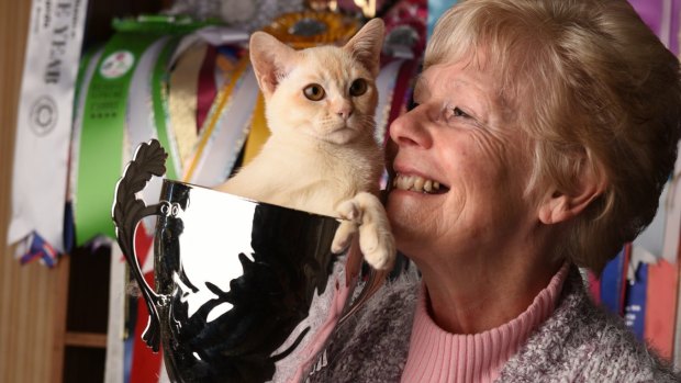Bambi Edwards with a 14-week-old kitten who has already won a prize.