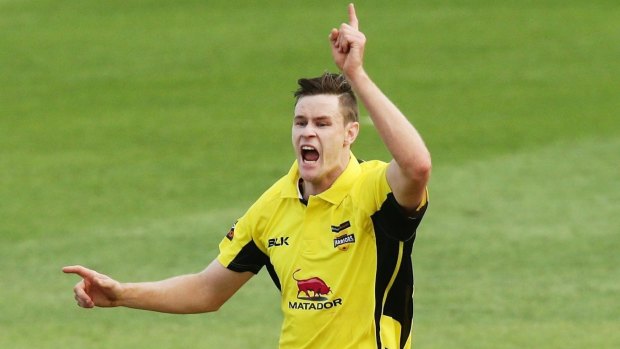 Western Australian fast bowler Jason Behrendorff is pushing for Australian selection after excellent form in the national one-day competition.