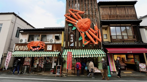 Matsuba crab season Kinosaki Onsen.