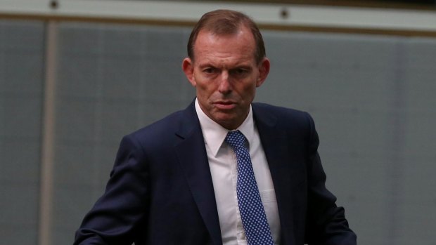 Tony Abbott's 'Warringah plan' attracted the support of some conservative MPs.